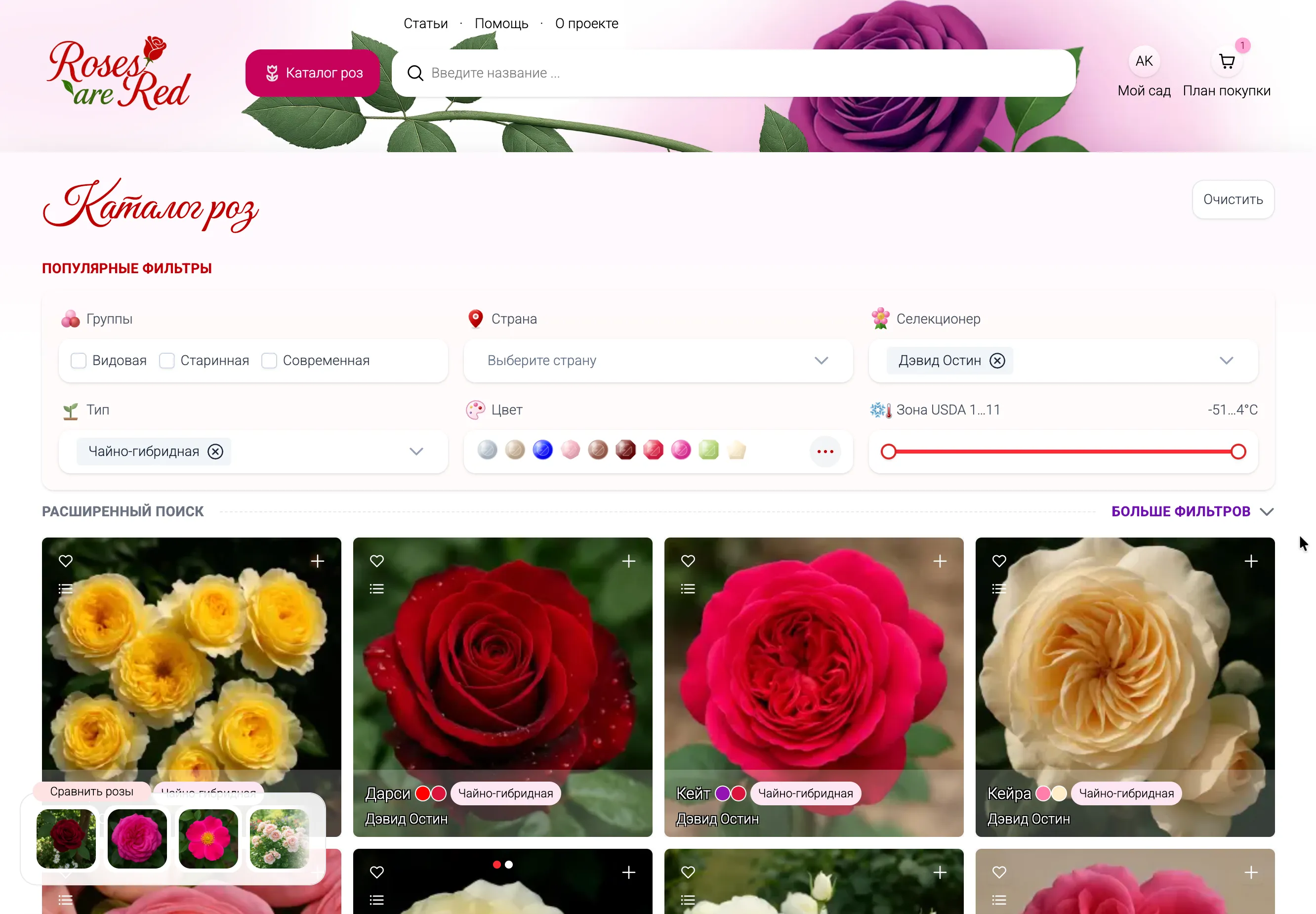 Подбор розы для вашего сада